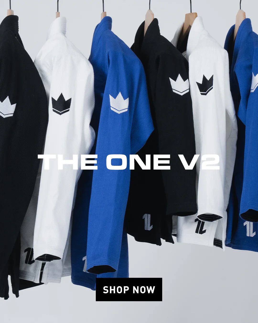 The One V2